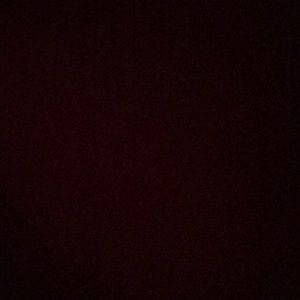 Meet your Posher, Avery